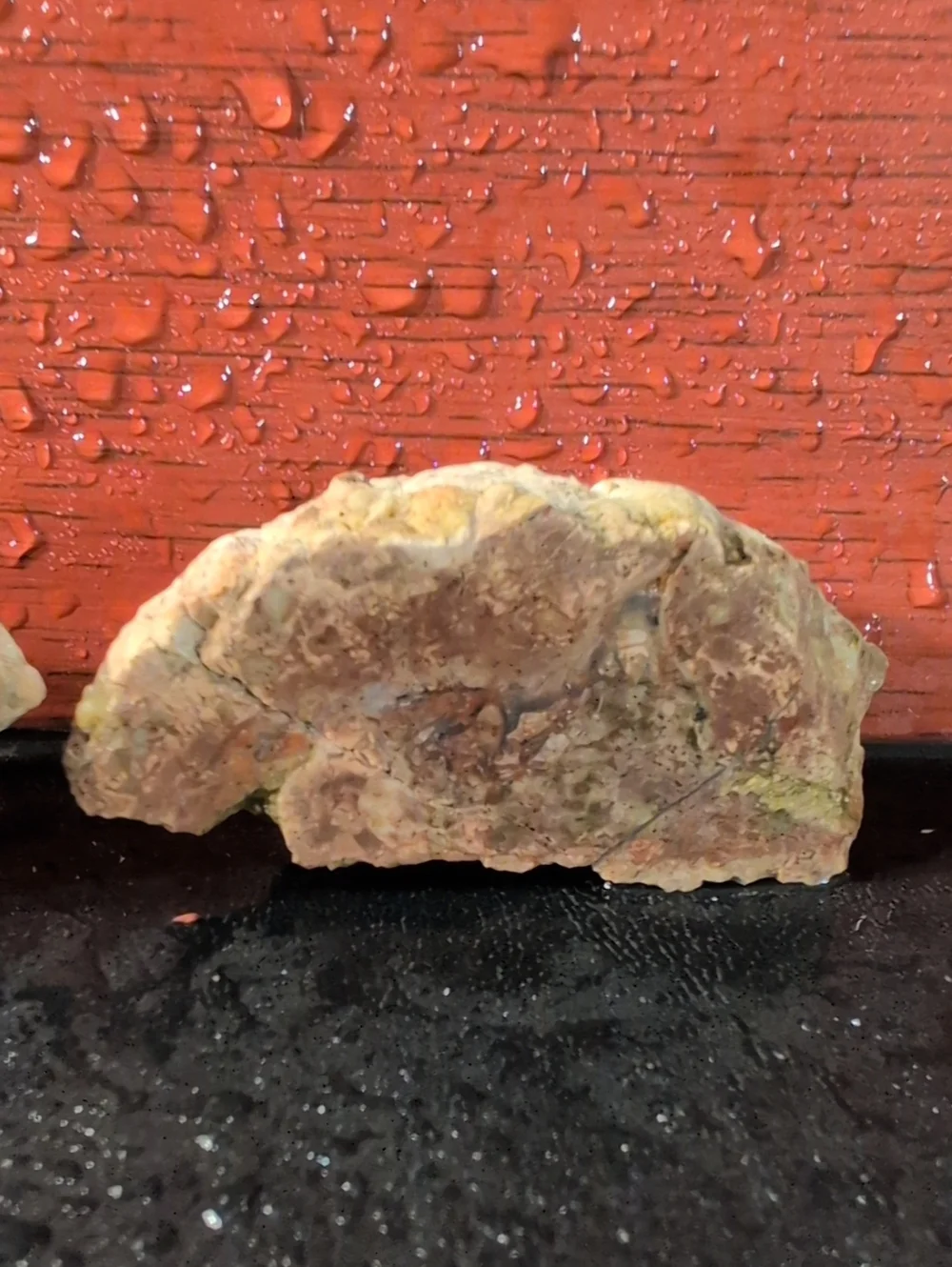 Agate #50